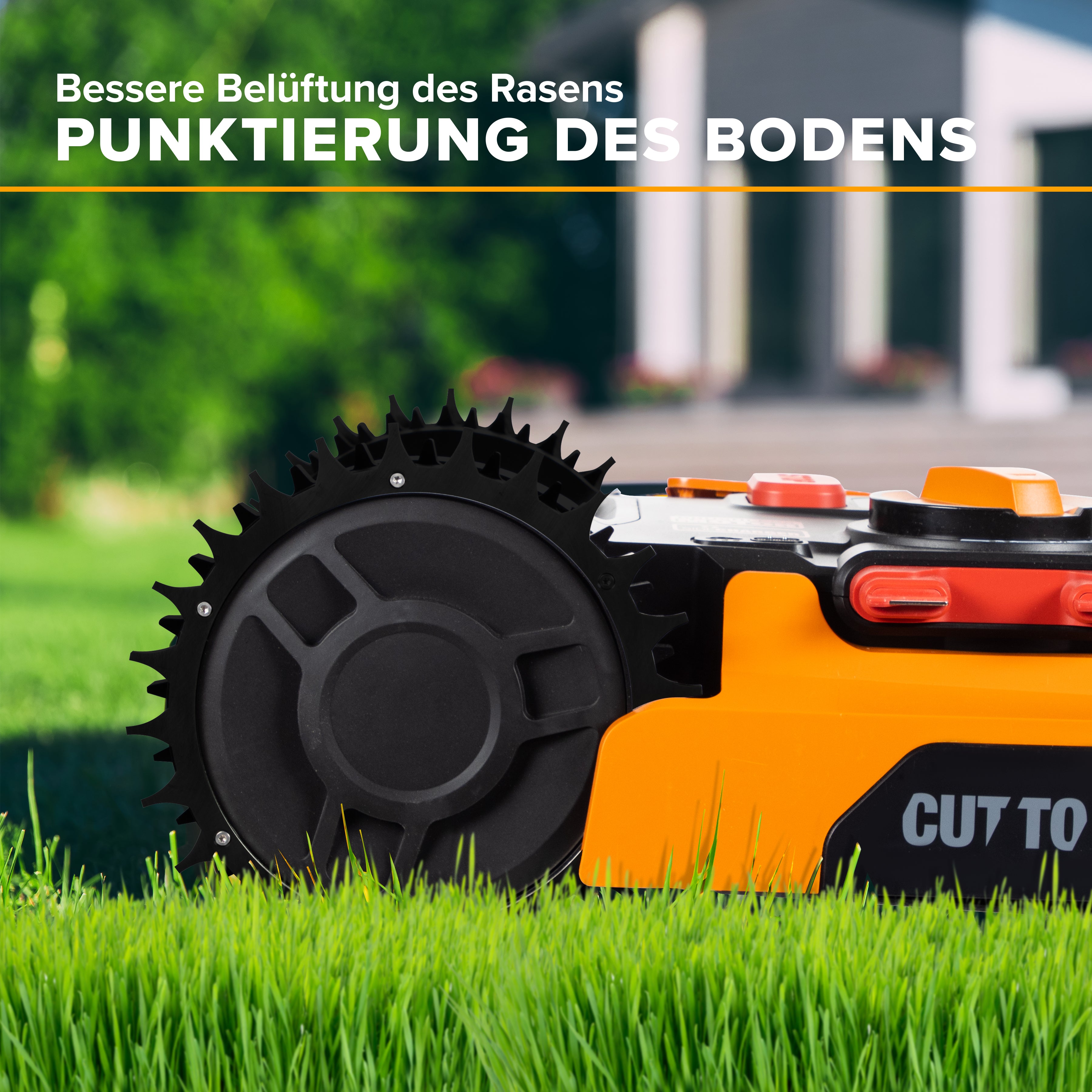 Pointes S&M Premium Black Edition Aluminium Worx