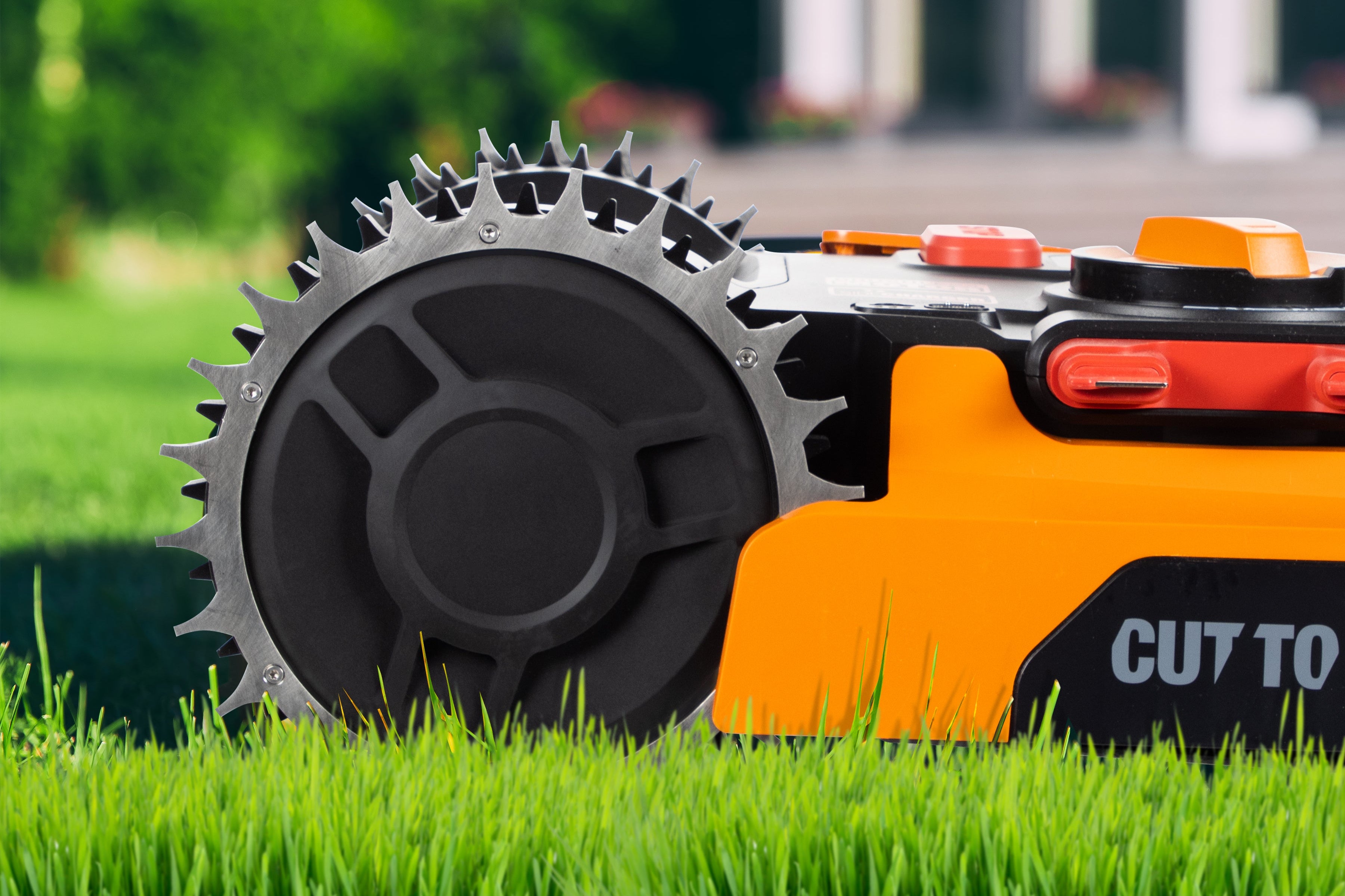 Spikes L stainless steel Worx