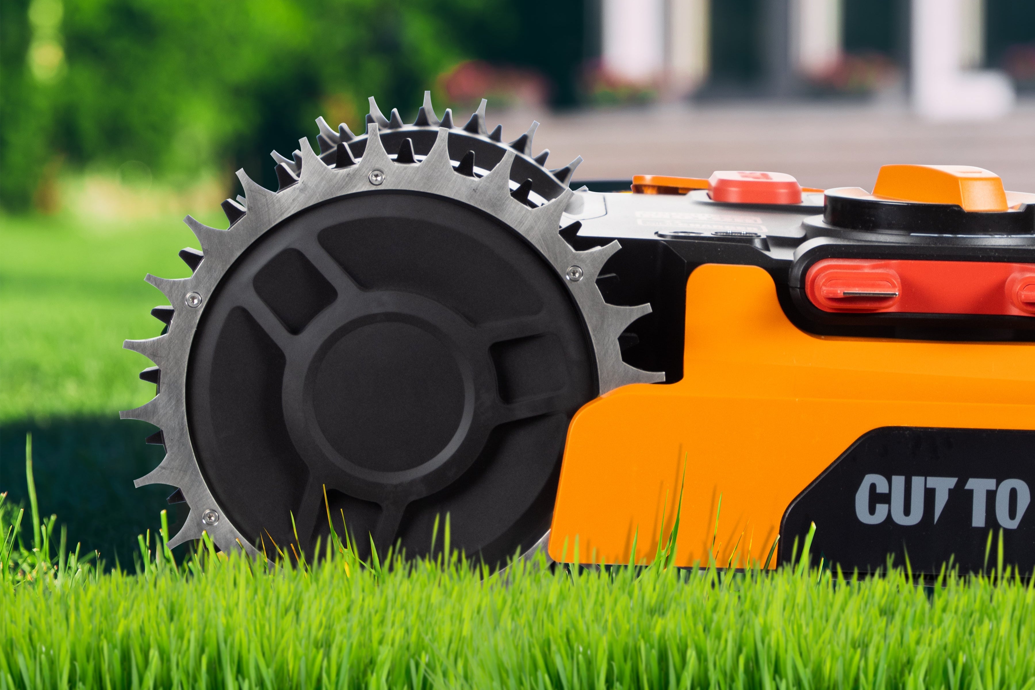 Spikes WR150 & WR155 Edelstahl Worx - amerikanische Modelle