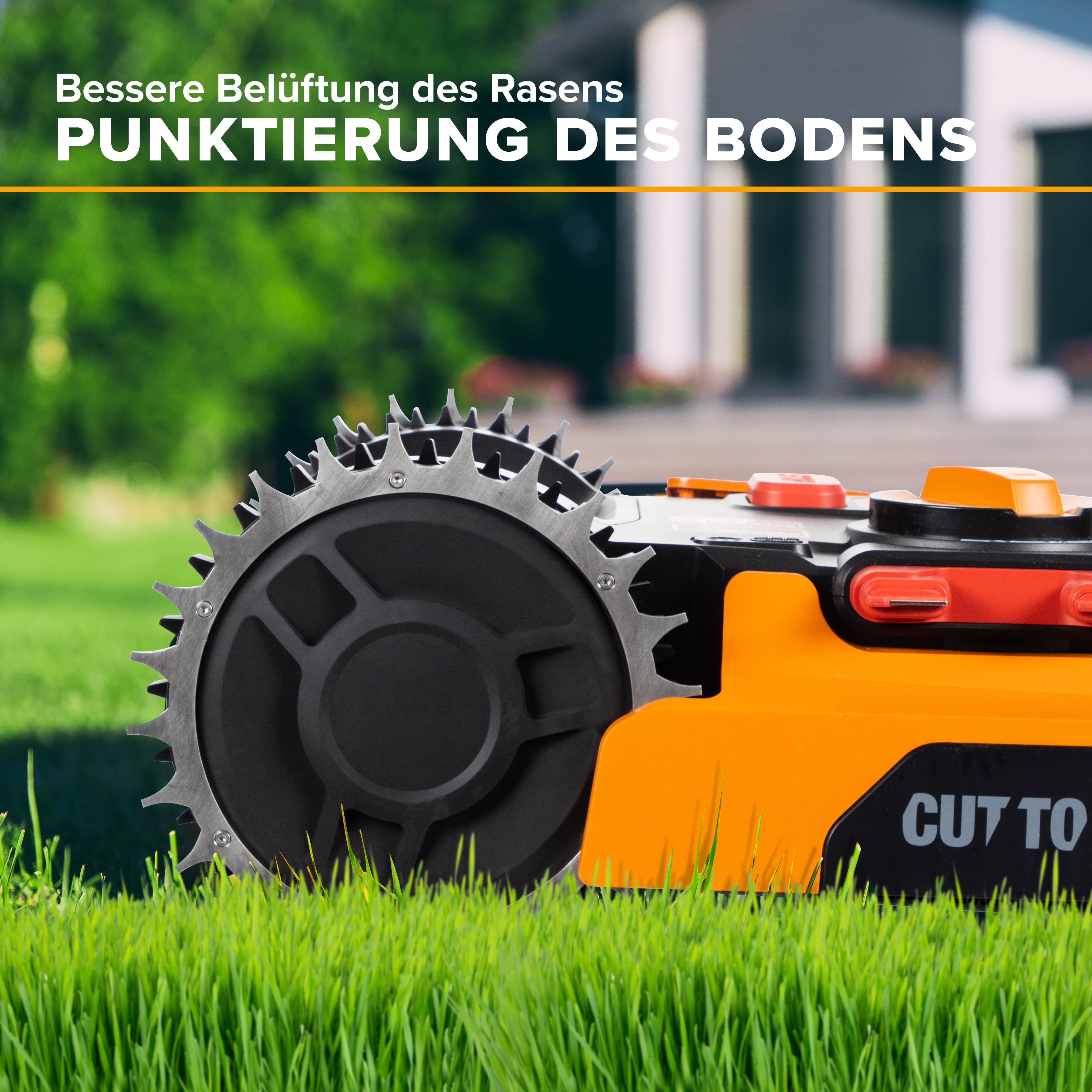 Spikes S&M stainless steel Worx